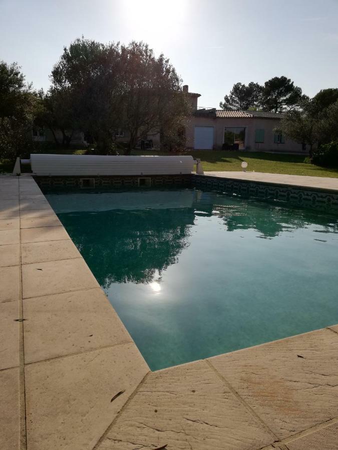 Gîte Zen&Gîte Jungle Draguignan Exterior foto